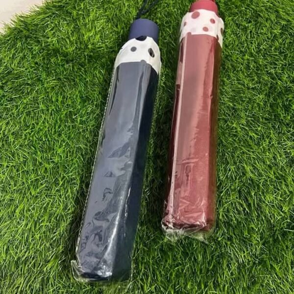 Mini Umbrella
